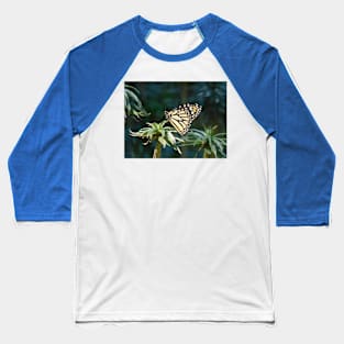 Monarch in waiting Baseball T-Shirt